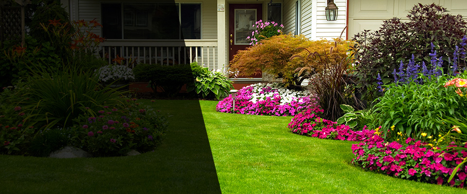 Eloy Landscapers