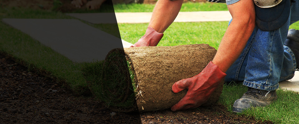 Eloy Landscapers